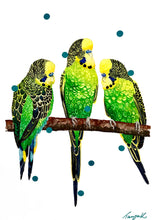 ‘Budgie Snugglers’ original
