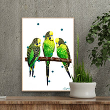 ‘Budgie Snugglers’ original