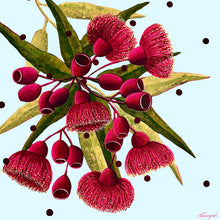 ‘Little Blessings’
