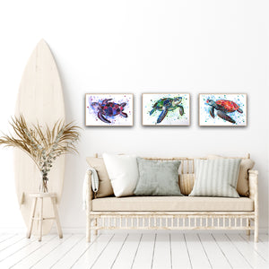 ‘Turtle Trio’ set of prints