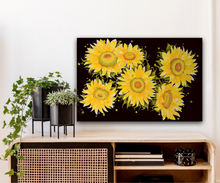 ‘Sunflower Burst’ print